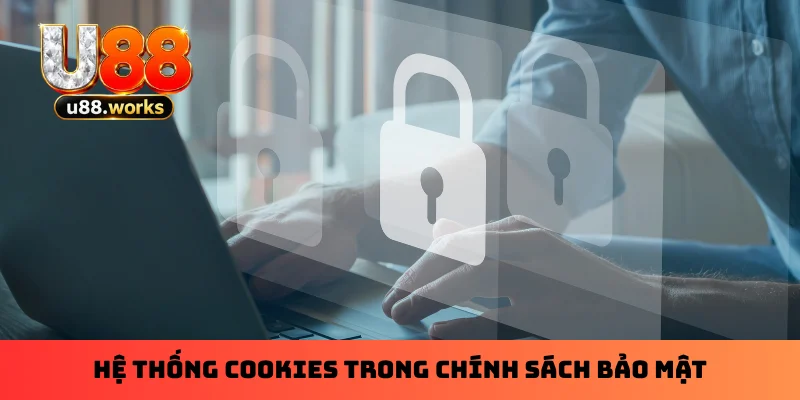 Hệ thống cookies trong chính sách bảo mật