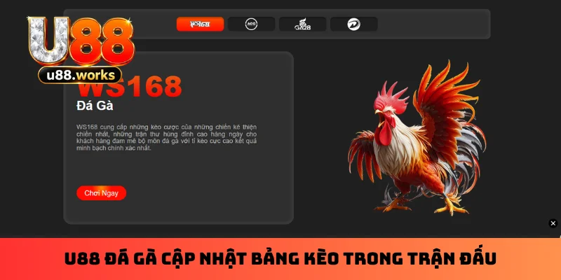 U88 đá gà cập nhật bảng kèo trong trận đấu
